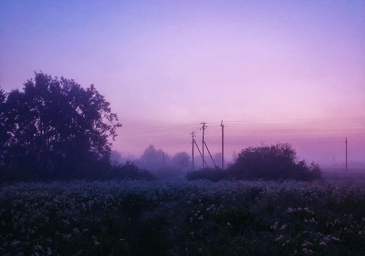 开云官网：品质守护每一次选择，开启数字生活新纪元